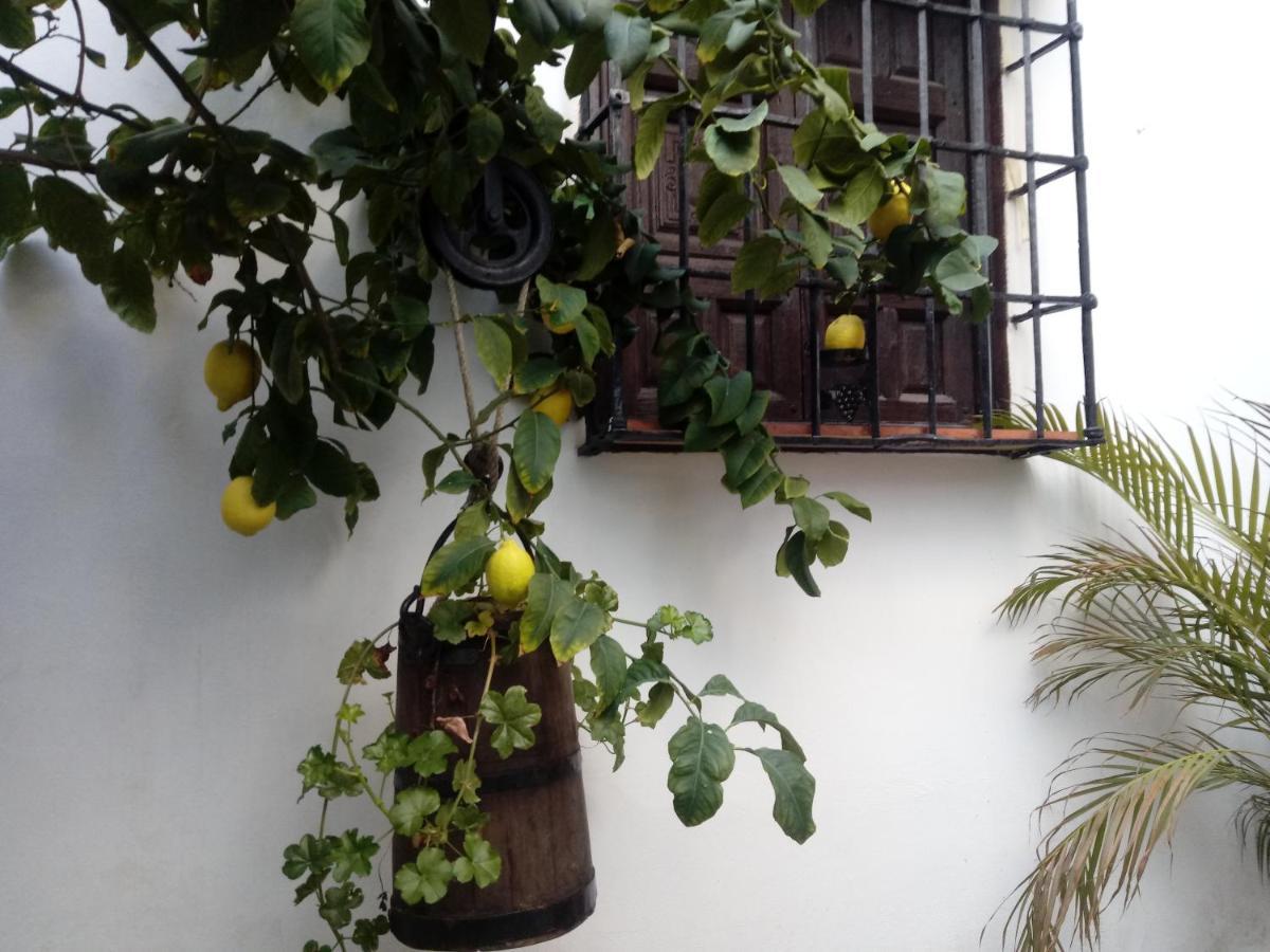 Fery & Nico Granada Exterior foto